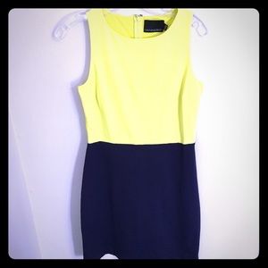 Cynthia Rowley color block dress